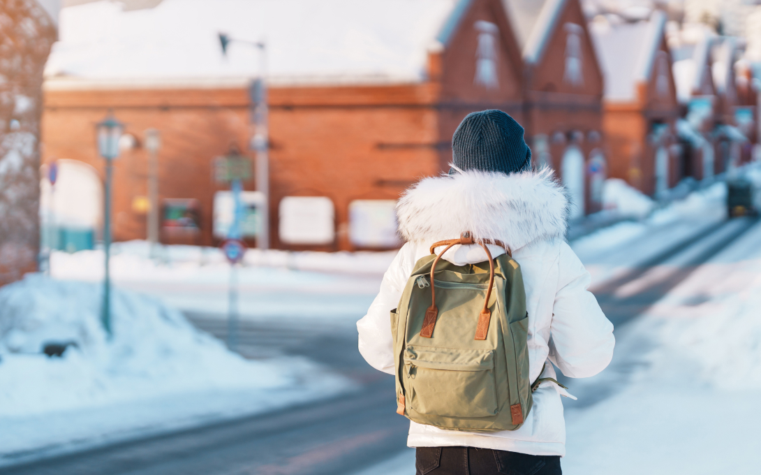 2025国际冬季旅行指南: 规划技巧和保险覆盖